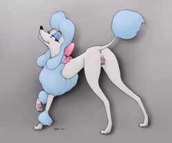 2016 anatomically_correct anatomically_correct_pussy animal_genitalia animal_pussy anus canine canine canine_pussy disney ecmajor female georgette mammal oliver_and_company poodle pussy solo