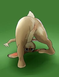 2016 3_toes 4_fingers anthro ass bent_over disney female flat_chest fur furry furry_only hair hi_res judy_hopps lagomorph long_ears mammal multicolored_fur naked nude pink_nose presenting presenting_hindquarters presenting_pussy pussy rabbit rear_view simple_background solo tail toes zigrock001 zootopia