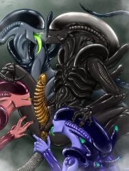 1boy 2024 3girls 6_fingers after_fingering alien alien_(franchise) alien_boy alien_girl anal_juice anus artist_request female_xenomorph fingering fingers gaping_anus genital_fluids licking_penis male/female male_xenomorph penis precum presenting_penis tongue_out unusual_penis xenomorph zipper_7z