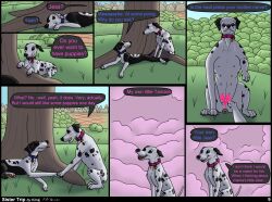 animal_genitalia animal_pussy anthro bird_dog canid canine canine_genitalia canine_pussy canis collar comic comic_page dalmatian distance_(tag) domestic_dog duo english_text female feral furry genitals grass hi_res hill hunting_dog jess_(kinaj) kinaj labrador lying mammal mixed_breed mountain multi_nipple nipples page_9 page_number plant pubic_tattoo pussy retriever sibling_(lore) sister_(lore) sisters_(lore) tag tamara_(kinaj) text tongue tongue_out tree under_shade