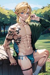 Link (Tears Of The Kingdom) Rule 34 Image