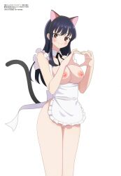 black_hair boku_no_kokoro_no_yabai_yatsu cat_ears cat_tail heart_hands large_breasts long_hair looking_at_viewer nekom14 nipples nude nude_female pussy white_apron yamada_anna