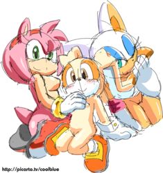 amy rose from sonic (series) by coolblue