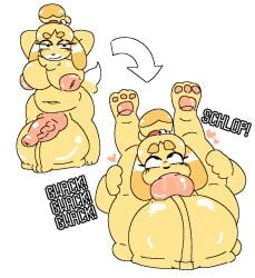 1futa animal_crossing animal_genitalia animal_penis anthro autofellatio balls_bigger_than_penis belly canine_penis completely_nude cute dog_penis furry furry_only futa_only futanari giant_balls head_between_legs head_between_thighs holding_legs huge_balls isabelle_(animal_crossing) large_balls looking_at_viewer masturbation milkbuni naked nude nude_futanari oversized_balls rolling_eyes saliva saliva_on_penis saliva_trail shiny_skin smiling_at_viewer solo sucking_own_penis tied_hair tummy veiny_penis yellow_fur