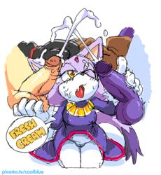 blaze the cat from sonic (series) by coolblue