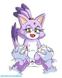 anthro blaze_the_cat breasts color coolblue exposed_torso female flat_chest footwear furry handwear holding_hands mammal nipples penetration pov pussy sonic_(series) straight vaginal vaginal_penetration