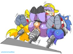 anal anus ass balls blue_fur bound coolblue dildo exposed_torso footwear fur furry furry_tail handwear hedgehog male male_only mammal multiple_tails penis rotor_the_walrus sonic_(series) sonic_the_hedgehog tail tails