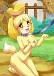 isabelle (animal crossing) from animal crossing by fur34