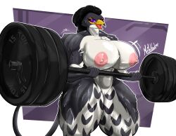 1girls abs anthro areolae avian barbell biceps big_breasts black_hair breasts busty commission female female_only huge_breasts large_breasts mrmelted muscular muscular_female nipples nude nude_female original original_character purple_eyes pussy solo sweat thick_thighs thunder_thighs weightlifting wide_hips workout