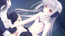 blood bra breasts censored game_cg garter_belt gray_hair kokura_asahi long_hair nipples penis pussy pussy_juice red_eyes sakurakouji_luna sex spread_legs stockings suzuhira_hiro topless tsuki_ni_yorisou_otome_no_sahou underwear