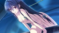 black_hair braids breasts dutch_angle game_cg kamitsure_~7_no_nijou_fushigi~ long_hair mizuki_kotora nipples nude pool pussy uncensored wet yurigaoka_nanami