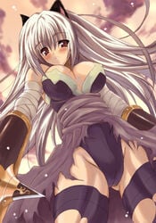 animal_ears assassin assassin_(ragnarok_online) breasts cat_ears catgirl grey_hair katar large_breasts ragnarok_online red_eyes torn_pantyhose