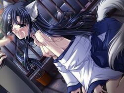 animal_ear blue_hair blush breasts censored cum dog_ear doggirl game_cg grey_eyes inumimi long_hair okaeshibi_suto ookamimimi sex tongue wolf_ear wolfgirl