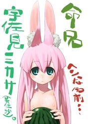 bunny_ear flat_chest food fruit green_eyes holding holding_fruit long_hair nude original pink_hair unaji watermelon