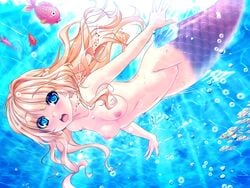 akagi_rio animal blonde_hair blue_eyes breasts bubbles fish game_cg long_hair mermaid nangoku_sakunyuu_milk_island_musume nipples photoshop png pussy uncensored underwater water