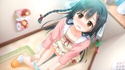 black_hair blush braids brown_eyes clothing game_cg hisama_kumako nadeshiko_futaba onii-chan_sharing panties toilet