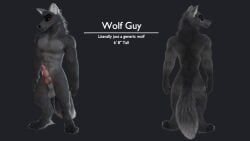 animal_genitalia animal_penis anthro balls canid canine canine_genitalia canine_penis canis digital_media_(artwork) english_text erection feet fingers fur genitals knot looking_at_viewer looking_back male mammal model_sheet nude penis rear_view ruaidri simple_background smile solo standing stated_height stated_species tail text toes wolf
