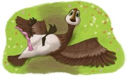 absurd_res alpha_channel anatid anatomically_correct anatomically_correct_genitalia anatomically_correct_penis animal_genitalia anseriform anserine avian avian_feet beak belly bird black_feet brightbill_(the_wild_robot) brown_body brown_feathers brown_tail_feathers brown_wings cloaca cloacal_penis curled_penis dreamworks feathers feet feral flower genitals goose grass green_eyes hi_res huge_filesize legs_up looking_at_viewer lying male monocerus on_back open_mouth outside penile_spines penis pink_penis plant prehensile_penis solo spread_wings tail tail_feathers the_wild_robot white_belly white_body white_face white_feathers wings