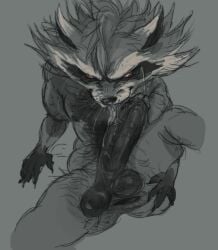 black_and_white black_penis hairy hairy_abs hairy_body hairy_chest hairy_crotch licking_own_penis licking_penis marvel marvel_comics marvel_rivals monochrome muscular muscular_anthro muscular_furry muscular_male non-human non-human_head non-human_only raccoon rocket_raccoon rocket_raccoon_(marvel_rivals) shibuyatank simple_background simple_coloring spread_ass