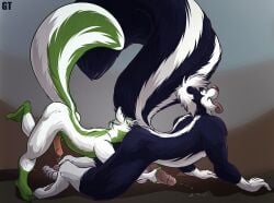 all_fours anal anthro athletic big_tail bodily_fluids duo genital_fluids genitals gtskunkrat jake_trilkin leaking_precum male male/male mammal masturbation mephitid oral penile_spines penis precum rimming sex skunk skunk_tail tail tongue tongue_out
