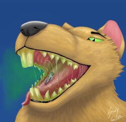 absurd_res animal_genitalia animal_penis anthro bad_breath bodily_fluids breath canid canine canine_genitalia canine_penis canis dirty dirty_teeth dripping drooling duo erection excessive_saliva extreme_size_difference filth genitals hi_res imminent_vore knot knotted_penis macro male male/male mammal mawplay micro mouth_shot murid murine nipples open_mouth oral_vore penis rat rodent saliva saliva_drip saliva_on_tongue saliva_string size_difference smelly stinkycoyote tartarus tongue tongue_out vore wolf