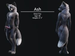 animal_genitalia animal_penis anthro ash_(ruaidri) ass balls canid canine canine_genitalia canine_penis canis character_name digital_media_(artwork) english_text erection eyewear eyewear_only feet fingers fox fur genitals glasses glasses_only grey_body grey_fur knot looking_back male mammal model_sheet nude penis rear_view red_fox ruaidri silver_fox simple_background smile solo standing stated_age stated_height stated_species tail text toes true_fox wearing_glasses