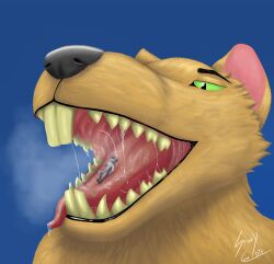 absurd_res animal_genitalia animal_penis anthro bodily_fluids breath canid canine canine_genitalia canine_penis canis dripping drooling erection excessive_saliva extreme_size_difference genitals hi_res imminent_vore knot knotted_penis macro male male/male mammal mawplay micro mouth_shot murid murine nipples open_mouth oral_vore penis rat rodent saliva saliva_drip saliva_on_tongue saliva_string size_difference stinkycoyote tongue tongue_out vore wolf