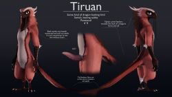 animal_genitalia animal_penis anthro avian avian_feet beak bird character_name digital_media_(artwork) dragon english_text erection feathers featureless_crotch feet fingers genitals hi_res horn hybrid looking_at_viewer looking_back male model_sheet mythological_creature mythological_scalie mythology nude penis rear_view ruaidri scalie simple_background solo standing stated_height stated_pansexuality stated_penis_size stated_sexuality stated_species tail tail_feathers text tiruan_(ruaidri)