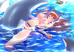 absurdres bikini bikini_lift blue_eyes blush breasts brown_hair dolphin female granblue_fantasy hat highres large_breasts lecia_(granblue_fantasy) long_hair missionary missionary_position one_eye_closed partially_submerged peaked_cap polka_dot polka_dot_bikini sex stir255 swimsuit water wince zoophilia