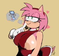 amy rose from sonic (series) by colorshun