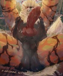 arcanine from nintendo by artjackal