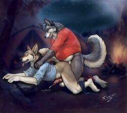 anal animal_genitalia bottomless camping canid canine canis clothed clothing coyote dad_body father_(lore) hi_res male male/male mammal parent_(lore) partially_clothed sunitai wolf