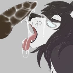 absurd_res after_fellatio after_oral after_sex ambiguous_gender animal_genitalia animal_penis anthro black_penis bodily_fluids canid canine canine_genitalia canine_penis closed_eyes cum cum_drip cum_drool cum_in_mouth cum_inside cum_on_penis cum_on_tongue dripping eyewear fennec_fox fox genital_fluids genitals glasses hi_res hyena knot male_(lore) mammal open_mouth oral penis starryprince tongue tongue_out true_fox