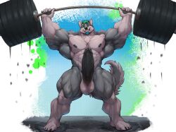 2024 abs abstract_background anthro areola balls barazoku barbell beard biceps big_balls big_biceps big_muscles big_pecs big_penis canid canine canis claws domestic_dog ear_piercing ear_ring erection exercise eyebrows facial_hair front_view fur genitals hair hi_res huge_balls huge_biceps huge_cock huge_muscles huge_pecs huge_thighs humanoid_genitalia humanoid_penis husky hyper hyper_genitalia hyper_muscles hyper_penis long_penis looking_at_viewer male mammal manly muscular muscular_anthro muscular_male nipples nordic_sled_dog nude obliques oldshep pecs penis piercing pubes quads ring_piercing serratus simple_background smile solo spitz standing teeth thick_penis thick_thighs tuft vein weightlifting weights workout