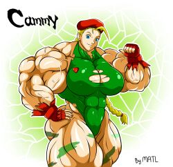 abs biceps breasts cammy_white extreme_muscles female hyper_muscles matl muscles muscular muscular_arms muscular_female muscular_legs muscular_thighs pecs street_fighter