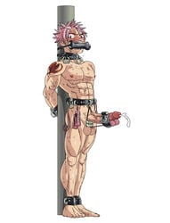 1boy abs bondage boy_rape cbt cock_and_ball_torture collar cum drooling fairy_tail gag humiliation male male_only malesub muscle natsu_dragneel nude pecs penis penis_vibrator pink_hair restrained saliva sex_toy solo submissive sweat tagme