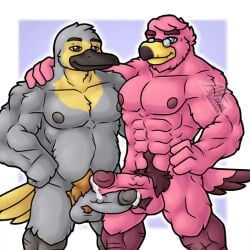 altenusy anthro avian balls barazoku bird bodily_fluids body_hair bondage bondage bound digital_media_(artwork) duo erection flamingo genital_fluids genitals humanoid_genitalia humanoid_penis male male/male mature_male muscular muscular_anthro muscular_male nude penis simple_background tail