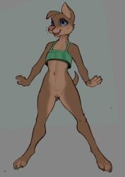 1girls 2025 4_toes 5_fingers anthro blue_eyes bottomless bottomless_anthro bottomless_female brown_body brown_claws brown_fur butt butt_from_the_front canid canine canis claws clitoris clothed clothed_anthro clothed_female clothing countershade_face countershade_fur countershade_hands countershade_legs countershade_neck countershade_torso countershading crop_top crop_top_only cynthia_(zaush) domestic_dog eyelashes feet female female_anthro finger_claws fingers front_view full-length_portrait fur genitals geometric_background green_clothing green_shirt green_tank_top green_topwear grey_background hi_res humanoid_genitalia humanoid_hands humanoid_pussy katlek mammal multicolored_body multicolored_fur navel one_ear_up open_mouth open_smile pink_clitoris pink_nose pinup portrait pose pupils pussy shirt shirt_only simple_background sketch slim slim_anthro slim_female smile solo straight_arms straight_legs tail tan_body tan_countershading tan_fur tan_inner_ear tank_top teeth toe_claws toeless_(marking) toes topwear topwear_only two_tone_body two_tone_fur upper_teeth upper_teeth_only young young_anthro young_female