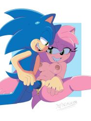amy rose from sega by spindasher98