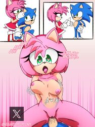 amy rose from sega by ramtototori