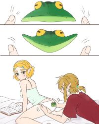 link from tears of the kingdom by ichigobotw2