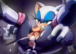 rouge the bat from sega by tojyo