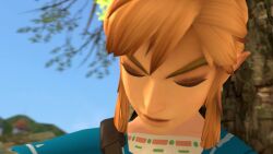 1boy 1girls 3d 3d_animation animated ass balls big_balls big_penis blonde_female blonde_hair blowjob blue_eyes breasts breath_of_the_wild clothed_male clothed_male_nude_female clothing cum cum_in_pussy cum_inside dirty_talk doggy_style english_voice_acting erect_penis fellatio female female_penetrated from_behind fucked_from_behind grabbing_own_breast handjob hetero hylian hylian_ears imjustthatkinky knight light-skinned_female light-skinned_male light_skin link link_(breath_of_the_wild) long-haired_female long_hair male male/female male_moaning medium_breasts mindlessswitchva moaning nintendo nude nude_female oral penetration penis pointy_ears princess princess_zelda pussy sex sex_from_behind sound straight tagme tarrotherambler temptyva the_legend_of_zelda uncensored vagina vaginal_penetration vaginal_sex video voice_acted workout_inspo zelda_(breath_of_the_wild)