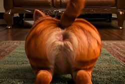 1boy 20th_century_fox ai_generated anus arched_back arching_back ass ass_focus ass_up asshole balls cat_ears davis_entertainment feline garfield:_the_movie garfield_(series) garfield_the_cat green_eyes inviting_to_sex living_room low-angle_view male male_only on_carpet orange_body paws presenting_anus presenting_butt raised_tail round_ass spread_legs streching stretched_anus striped_fur sweat tail ultra_detailed