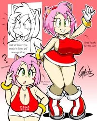 amy rose from sega by camtoons