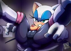 rouge the bat from sega by tojyo