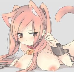 animal_ears blush breasts brown_eyes chained collar ebi_shamo female fire_emblem fire_emblem_awakening nipples red_hair robin_(fire_emblem) robin_(fire_emblem)_(female) simple_background solo sweat tail tied_hair twintails