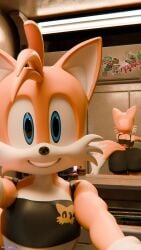 3d_(artwork) big_ass elevator femboy gullygulson macro male reflection sega selfie sonic_(series) tails tails_the_fox