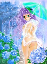 blush flower green_eyes hydrangea jacket long_hair nishida_asako original purple_hair see-through umbrella water wet