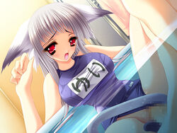 animal_ears cat_ears censored game_cg grey_hair nekomimi puni_puni_handmaid red_eyes sex silver_hair swimsuit uniform water wet white_hair